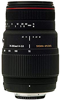 【中古】SIGMA 望遠ズームレンズ APO 70-300mm F4-5.6 DG MACRO キヤノン用 フルサイズ対応 508272 o7r6kf1