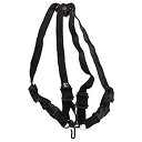【中古】【非常に良い】BG HARNESS(ハーネス) ストラップ アルト/テナー/バリトン サクソフォーン サイズ(LADIES) メタルフック S41M g...