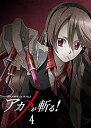 【中古】【非常に良い】アカメが斬る! vol.4 DVD 【初回生産限定版】 d2ldlup(2)