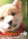 【中古】【非常に良い】連続テレビドラマ マメシバ一郎 DVD-BOX tf8su2k(2)