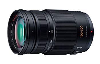 【中古】パナソニック 望遠ズームレンズ マイクロフォーサーズ用 ルミックス G VARIO 100-300mm/F4.0-5.6 /MEGA O.I.S. H-FS100300 wgteh8f 【中古】パナソニック 望遠ズームレンズ マイクロフォーサーズ用 ルミックス G VARIO 100-300mm/F4.0-5.6 /MEGA O.I.S. H-FS100300 wgteh8f