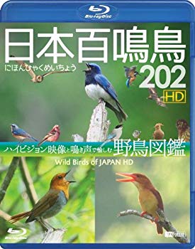 【中古】【非常に良い】シンフォレストBlu-ray 日本百鳴鳥 202 HD ハイビジョン映像と鳴き声で愉しむ野鳥図鑑 9jupf8b 【中古】【非常に良い】シンフォレストBlu-ray 日本百鳴鳥 202 HD ハイビジョン映像と鳴き声で愉しむ野鳥図鑑 9jupf8b