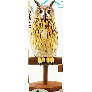 楽天市場】フクロウ リアル ワシミミズクの通販 楽天市場】フクロウ リアル ワシミミズクの通販