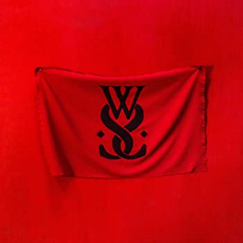 【中古】(未使用・未開封品)Brainwashed [CD]
