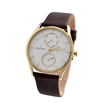 【中古】SKAGEN SKW6066 [並行輸入品]