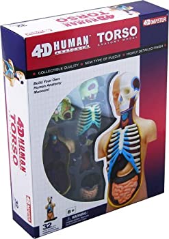 【中古】(未使用 未開封品)4D Vision Human Anatomy Torso Model 並行輸入品