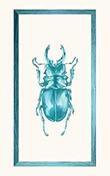 【中古】(未使用・未開封品)薄荷［カセット］