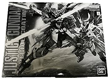 š(̤ѡ̤)MG 1/100 㥹ƥ Υڥ륳ƥ󥰡 ץǥ(ۥӡ饤󥷥å׸)Υץǥ