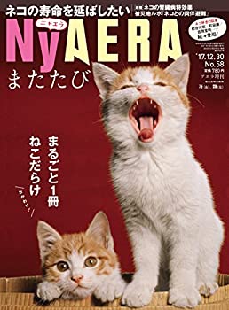 【中古】【非常に良い】NyAERA (ニャ