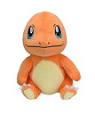 【中古】ポケモンセンターオリジナル ぬいぐるみ Pokemon fit ヒトカゲ(3)