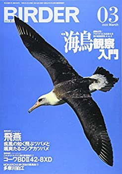 【中古】BIRDER(バーダー)2020年3月号 海鳥観察入門