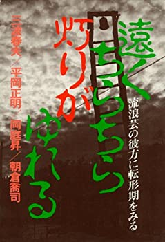 【中古】遠くちらちら灯りがゆれる—流浪芸の彼方に転形期をみる