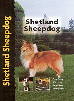 Shetland Sheepdog (Pet love)