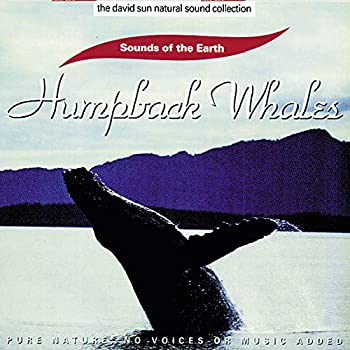 【中古】Humpback Whales [CD]