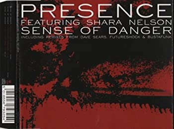 šSense of Danger Remixes [CD]
