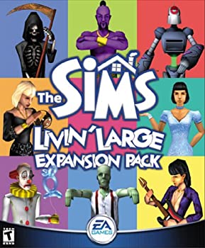 Liquid Crystal Protector - 【中古】(未使用・未開封品)THE SIMS LIVIN' LARGE