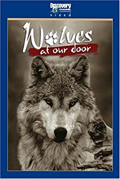 【中古】Wolves at Our Door [DVD] Import Discovery Channel