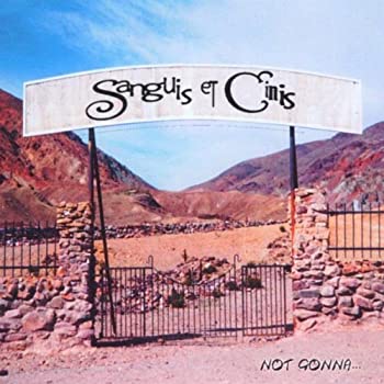 【中古】【非常に良い】Not Gonna.... [CD]