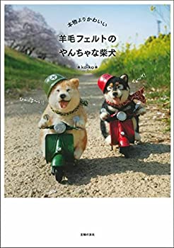 楽天スカイマーケットプラス【中古】（未使用・未開封品）本物よりかわいい 羊毛フェルトのやんちゃな柴犬