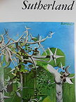 【中古】ファブリ世界名画集〈99〉グレアム・サザランド (1973年)