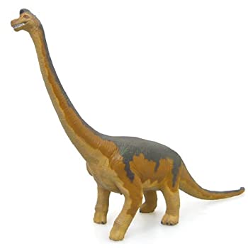 šۡɤۥ֥饭륹 ӥˡǥ(FD-306)