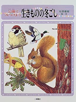 【中古】公園でみつけよう生きものの冬ごし (しぜんたんけんずかん)