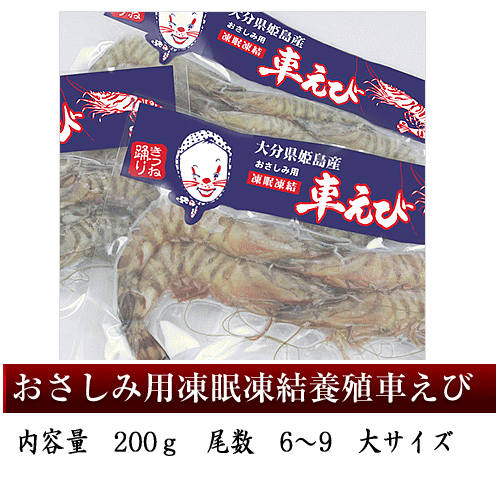 「姿・伊勢海老　味・車海老」　活き〆の車えびを、真空パックして、−30℃のアルコール溶液につけて急速冷凍しているので、新鮮さが変わりません／全国にお届け！　大分県姫島産　最高級車えび　車海老 大　産地直送／さしみ