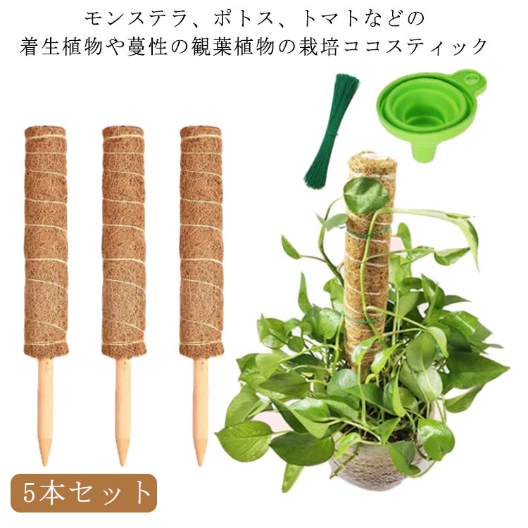 モンステラ、ポトス、トマトなどの着生植物や蔓性の観葉植物の栽培ココスティック 天然のココナツ繊維が原材料になり、自然になじみやすくて見栄えが良いです。 木の棒が土に入れやすく、植物に害なく、環境に優しい素材を採用しております。太くて耐久性が良くて、植物を強力に支え、倒れることを防げます。 植物の成長に合わせて上に継ぎ足していけます。モンステラが盛んに成長しますので太くて長い支柱が必要です。 上継ぎ足せば、植物をお好みの高さまで育てることができますので、成長ももっと楽しめます。 繊維部に植物が巻き付きやすくなりますので水分も吸収しやすくなります。ココナツ繊維を使い、幹を安定させてあげることで、モンステラのバランスを整えることができます。 バランスがよくなれば、葉が密集することが防げるので日当たりや風通し、また害虫予防の効果まで得られますし、株の異常にも早く気付くこともできます。 サイズ 5本セット サイズについての説明 長さ30cm 40cm 50cm※サイズは平置き実寸になります。サイズ表の実寸法は商品によって1-3cm程度の誤差がある場合がございます。 素材 ポリエステル 色 長さ30cm 長さ40cm 長さ50cm 備考 ●サイズ詳細等の測り方はスタッフ間で統一、徹底はしておりますが、実寸は商品によって若干の誤差(1cm～3cm )がある場合がございますので、予めご了承ください。 ●製造ロットにより、細部形状の違いや、同色でも色味に多少の誤差が生じます。 ●パッケージは改良のため予告なく仕様を変更する場合があります。 ▼商品の色は、撮影時の光や、お客様のモニターの色具合などにより、実際の商品と異なる場合がございます。あらかじめ、ご了承ください。 ▼生地の特性上、やや匂いが強く感じられるものもございます。数日のご使用や陰干しなどで気になる匂いはほとんど感じられなくなります。 ▼同じ商品でも生産時期により形やサイズ、カラーに多少の誤差が生じる場合もございます。 ▼他店舗でも在庫を共有して販売をしている為、受注後欠品となる場合もございます。予め、ご了承お願い申し上げます。 ▼出荷前に全て検品を行っておりますが、万が一商品に不具合があった場合は、お問い合わせフォームまたはメールよりご連絡頂けます様お願い申し上げます。速やかに対応致しますのでご安心ください。