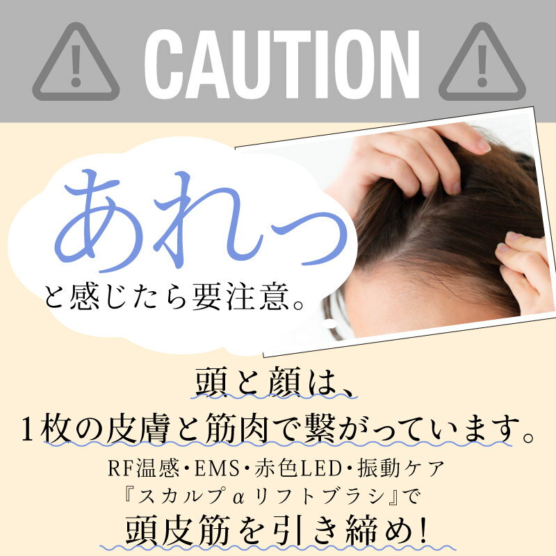 Ƭ�饱�� RF���� ��ư�饱�� ��®���åԥ� �������åԥ� EMS ������ή ��եȥ��å� �ӷꥱ�� �ӷ�ɷ� ��ȩ RF�饸���� �ֿ�LED Ƭ��ޥå����� ����� USB���ż� �����ɥ쥹 ��ư�֥饷 ����ѥ���