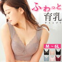 ナイトブラ バストアップ ブラジャー シームレスブラ バストケア ブラ 育乳 大きいサイズ 小胸 可愛い オシャレ バストアップ 育乳 下着 ブラジャー 夜用 ...