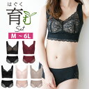 ナイトブラ セットアップ バストアップ ブラジャー シームレスブラ ブラ 育乳 大きいサイズ 小胸 可愛い オシャレ バストアップ 育乳 下着 ブラジャー 夜用...