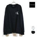 Calvin Klein Jeans カルバンクライン ジーンズ ls bold mgrm crew 長袖 Tシャツ 40HM826 メンズ 【 送料無料 】 CK ロゴ プリント ロング トップス tshirt ロンt アメカジ モード ストリート系 ファッション ブランド 白 ホワイト 黒 ブラック M L XL 2XL USサイズ