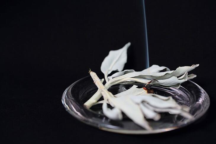 5�ΤĤ����ϥݥ����10�ܡ����������å��ۥ磻�ȥ�������45g���ѥ���ȡ��� ����˧��� ���� ��ӥ� ���� �����ư¢� 2�޹���������̵����