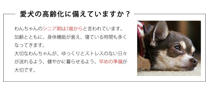 ペットケアマット 体圧分散マット 【 Mサイズ 】(約66×95×4cm) 小型犬〜中型犬用 ペット用クッション レザーカバー付き 床ずれ防止 老犬介護用品 高反発マット ペット用マット ペットマット ドッグケアマット 寝たきり 3DアレルAir