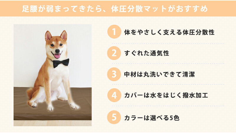 小型犬 ～ 大型犬 ペットケアマット 体圧分散マット 3サイズ ペット用クッション レザーカバー付き 床ずれ防止 老犬介護用品 高反発マット ペット用マット ペットマット ドッグケアマット 寝たきり 小型犬用 中型犬用 大型犬用 無地カバー 3