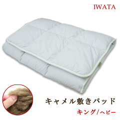 https://thumbnail.image.rakuten.co.jp/@0_mall/sleepmaster/cabinet/iwata-camel/356top-new.jpg