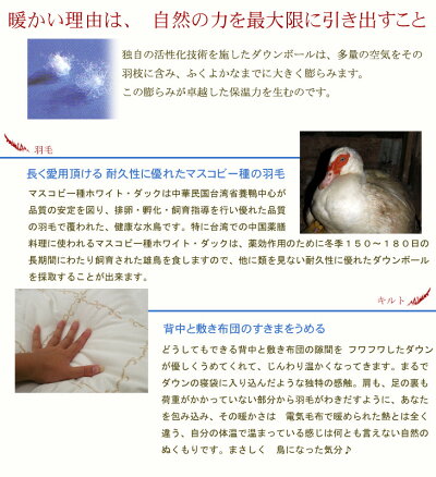 京都イワタ羽毛敷きパッド(ダウンパッド)セミダブルサイズ岩田【smtb-tk】値下げしました