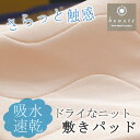 【セール】 西川 洗える さらっとドライニット 敷きパッド セミダブル 120×200cm 日本製 洗濯 ウォッシャブル ドライ さらさら 吸湿 速乾 汗 夏 ...