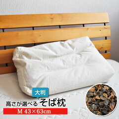 https://thumbnail.image.rakuten.co.jp/@0_mall/sleepplus-interior/cabinet/pillow/3640470000765_01_3.jpg