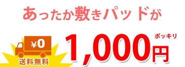 【1000円ポッキリ】<色・柄おまかせ> あったか 敷きパッド 冬用 シングルサイズ 約100×205cm フランネル マイクロファイバー 敷パッド 無地 プリント 敷きパット 敷パッド ベッドパッド あったか あたたか 敷き毛布 買いまわり ポイント消化【notP20】