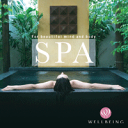 快眠 CD SPA 〜フォー・ビューティフル・マインド・アンド・ボディCD〜 DW-1605 4961501646660