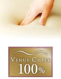 ディーブレス MARIOTTE mocci (マリオット モッチ)約70×40cm【送料無料】まくら ピロー 低反発 快眠博士