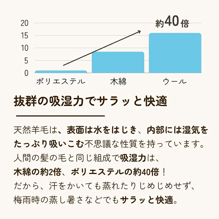 ロマンス小杉 ムートン シートクッション 毛長 25mm 羊毛 ふかふか ふわふわ 1165-0181 新生活 [3]