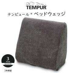 https://thumbnail.image.rakuten.co.jp/@0_mall/sleeproom/cabinet/tempur/imgrc0257134456.jpg