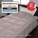 ジーリンホワイトグース 肌掛け羽毛ふとん 肌掛けダウン 90% 0.45kg クイーンサイズ ダブル 羽毛ふとん 布団 掛けふとん 東京西川 西川 KE37425031 NP7050