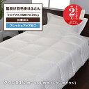 ポーランドホワイトグース 高級 羽毛布団 セミダブル 西川 羽毛肌掛け布団 羽毛ふとん セミダブル布団 羽毛ぶとん ダウン 93% 0.35kg 西川羽毛ふとん グース セミダブルサイズ 肌掛け布団 布団 掛けふとん 羽毛掛布団 掛けぶとん 日本製 東京西川 KE17655033 NP7052(3)