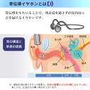 sleeptracker:10001216のサンプル画像3