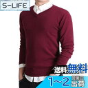 Bvaeocl セーター メンズ Vネック ビジネス カジュアル 秋服 綿 柔らかい ニットセーター おしゃれ 大きいサイズ BV84 色:レッド、サイズ:M