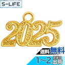 GraduationMall 合金イヤーチャーム 卒業タッセル用 2025 ゴールド シルバー キラキラ