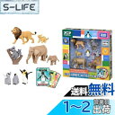 タカラトミー アニア どうぶつの親子 はてなカードセット 動物 恐竜 おもちゃ 3歳以上(3)